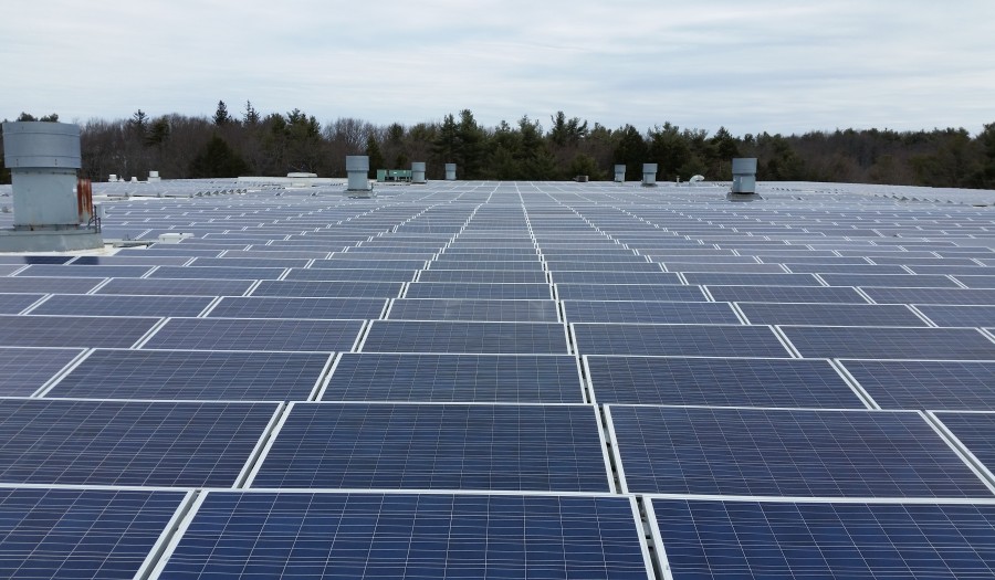 Pure Power Solar