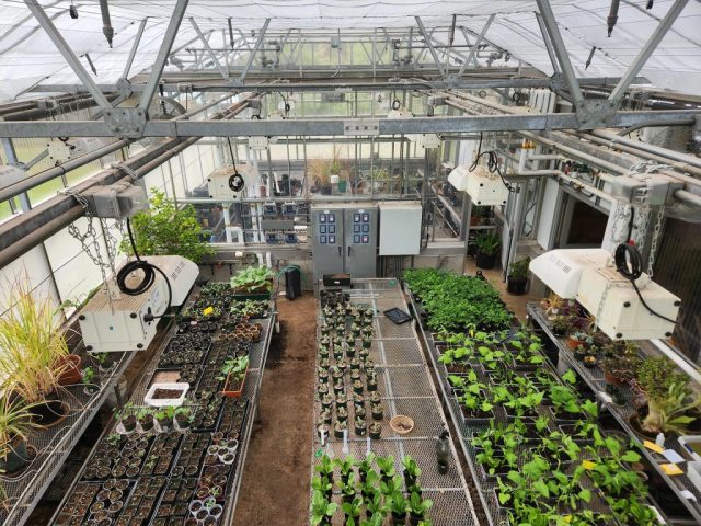 Pure Power Electric Pure Power Electric